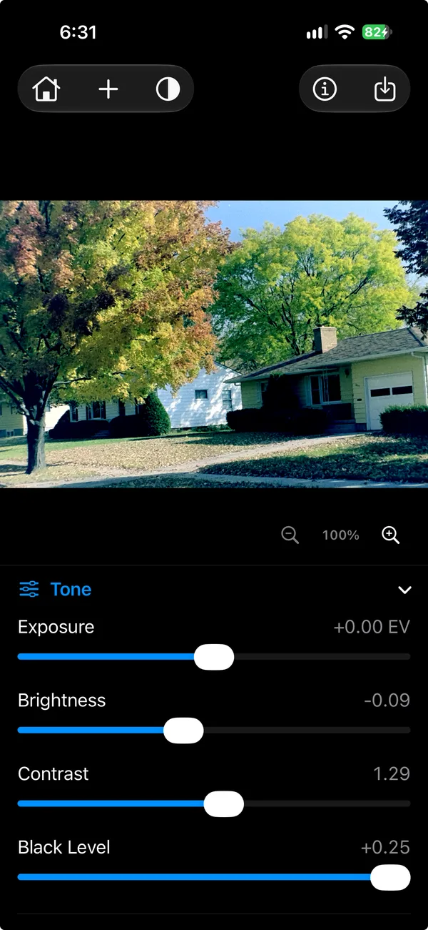 FilmReverseIt’s color and tone adjustment sliders.